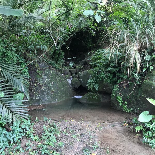 大凍山、雞籠山環行1076525