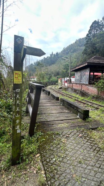 雲嘉連峰/青年嶺/水社寮2750452