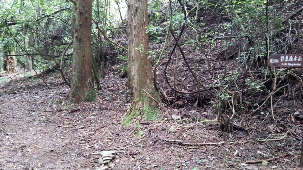 20230622 苗栗-雪見 東洗水山及北坑山 走走2193077