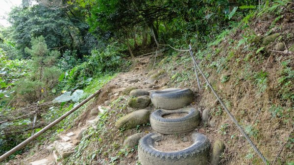 今天，我想來點飛鳳山，叮咚。1142038