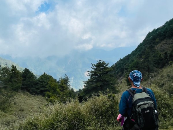 1110414塔塔加四連峰/鹿林前山-真鹿林山-鹿林山-麟趾山1675145