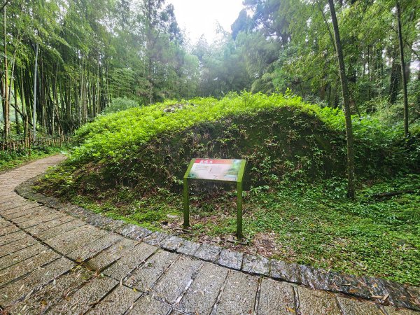 20250719頂湖上大凍山2907164