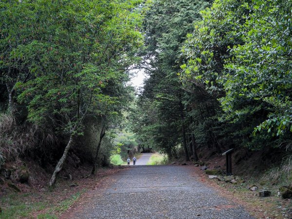 2026-05-23 小雪山防火巷、拾丸山南峰3062342