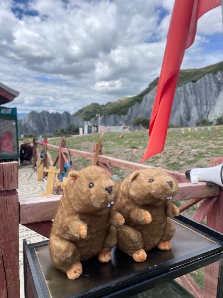 川藏深度之旅33天/A行程2901322