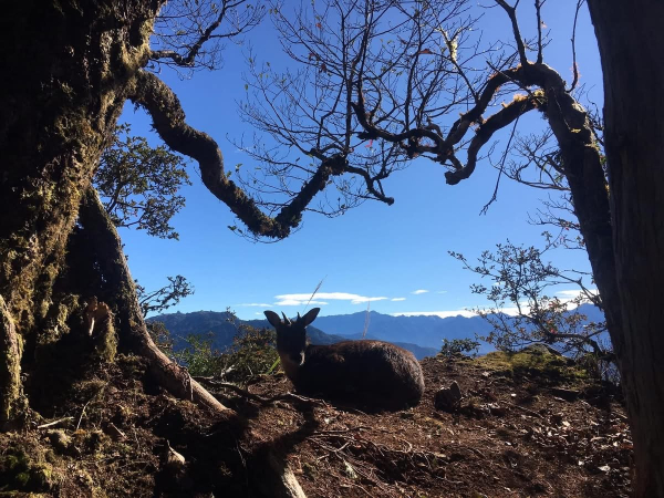 愛上❤️加里山的四天（春天、夏天、秋天、冬天）