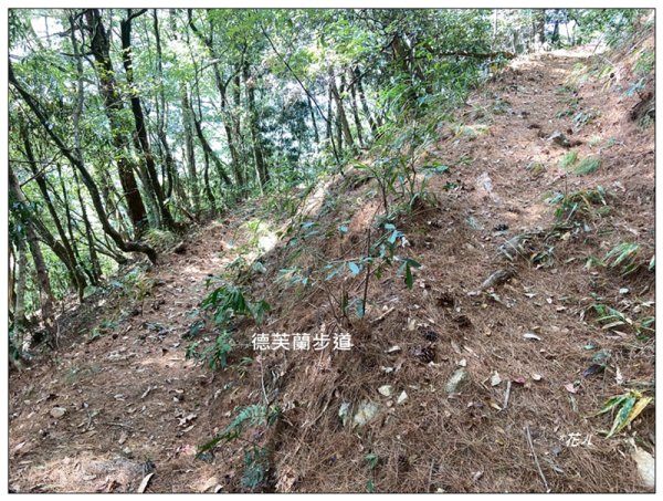 東卯山、東卯山西峰、東卯山西南峰 連走2932848