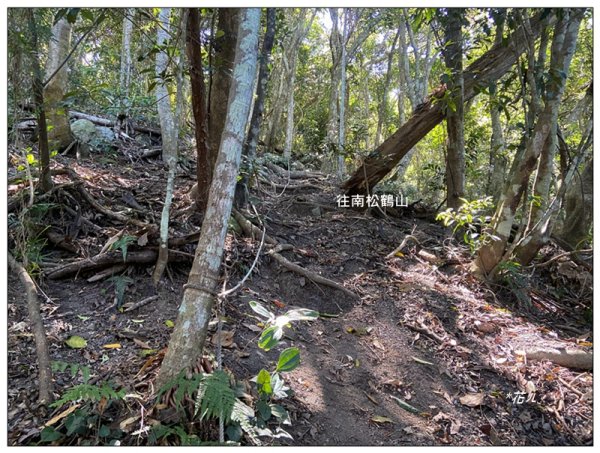 南松鶴山～八仙山 (台中 和平)2926080