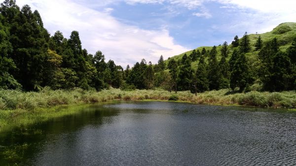 醉在.......如夢似幻138164