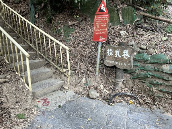 坑內坑森林步道2957407