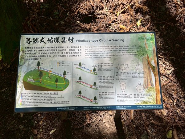 新竹 五峰 觀霧國家森林遊樂區 大鹿林道西線 榛山步道2811377