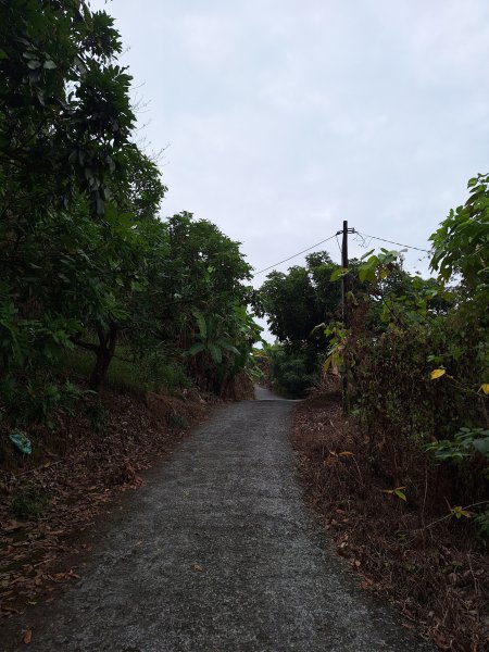 烏山嶺水利古道+鳥子嶺O型2967435