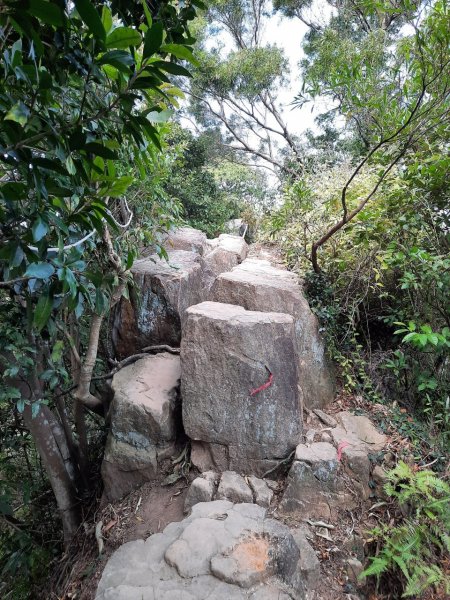 20230304 奇岩山，唭哩岸山，軍艦岩，磺溪山，丹鳳山2054270