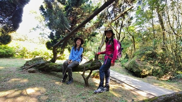 陽明山國家公園202503232743273