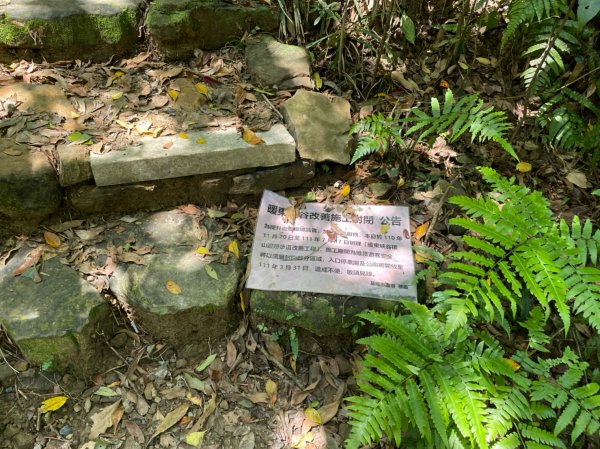 新北｜瑞芳．雙溪 淡蘭古道中路．暖東舊道（TK2-1~2-5 暖東峽谷步道、暖東舊道、五分山步道）2004155