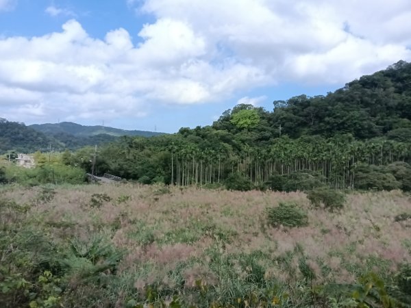 貢寮區大嶺古道+大石壁坑山+龍字碑+五酒桶山+龍崗山2948281
