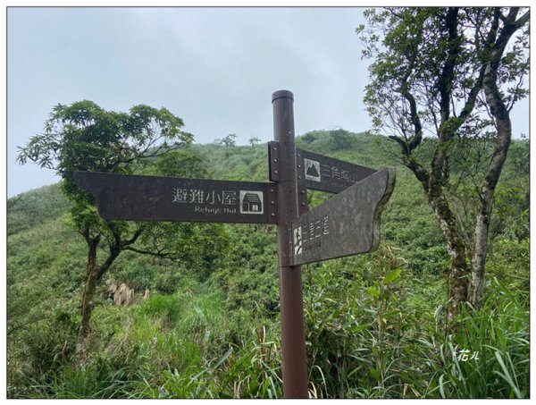 聖母峰、三角崙山 (抹茶山) 連走2802233