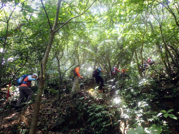 神主嶺古道-神主嶺-北八斗山-東南峰-龜吼漁夫市集-龜吼漁港站