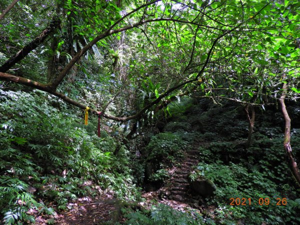 新北 坪林 四堵古道(石牌縣界公園段)1469829