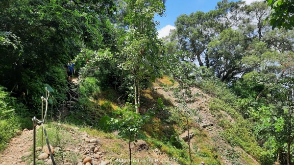 《台中》心靈雞湯｜大肚萬里長城登山步道O繞202507052827449