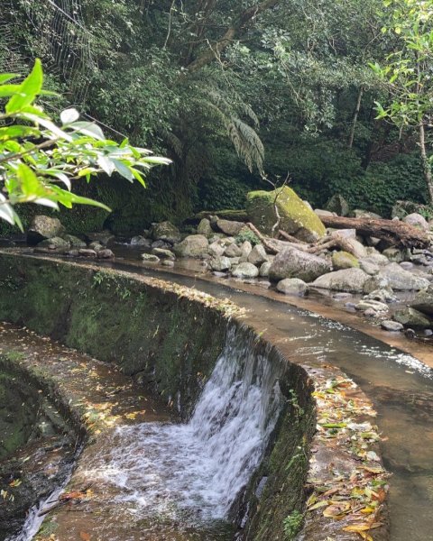 古圳1730275