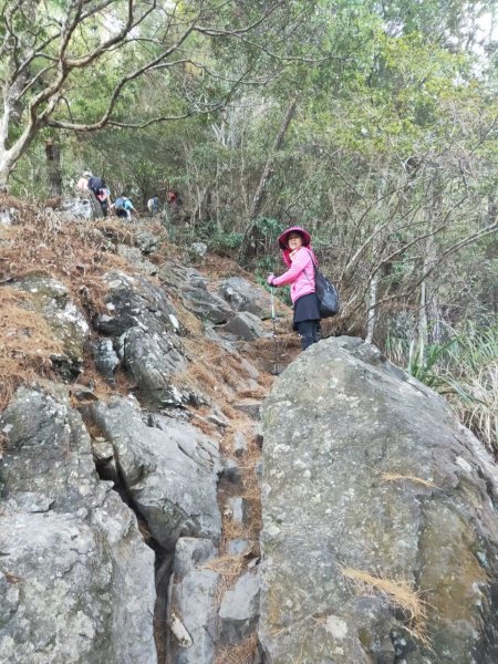 【谷關七雄2】~馬崙山-201911101709866