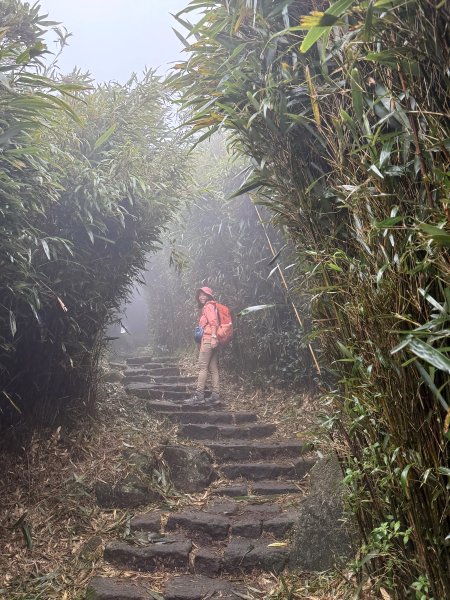 七星山 冷水坑上小油坑下環七星山人車分道O繞 202511082934888
