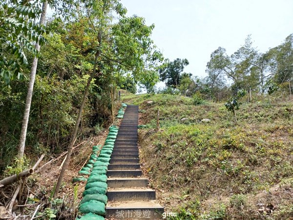 【台中豐原】平易近人。 豐原萬里長城登山步道x寮水山2517543