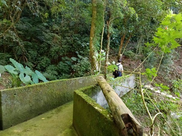 坪林區南豹子廚山+豹子廚古道+北豹子廚山2900475