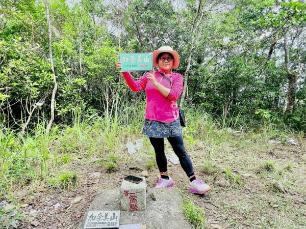 台東三小百岳 Day 1：巴塱衛山#96 加奈美山#95 太麻里山#943006111