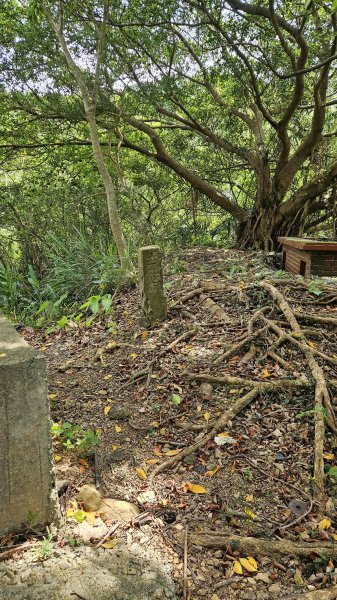 20250625遠望坑口-遠望坑崙-176峰-陸軍路礦864-遠望坑山O型2826161