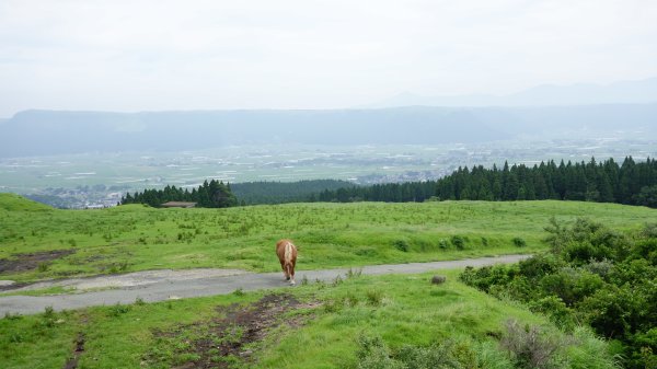 九州阿蘇火山美景652097