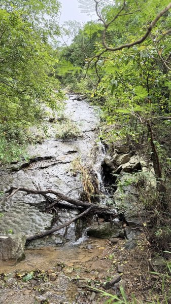 20250811未竟之小百岳里龍山2858811