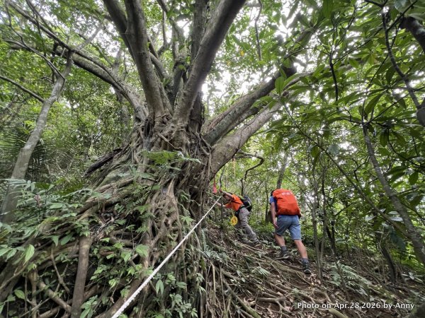 雙溪大竹林山＋新路尾山＋艋舺崙古道Ｏ型