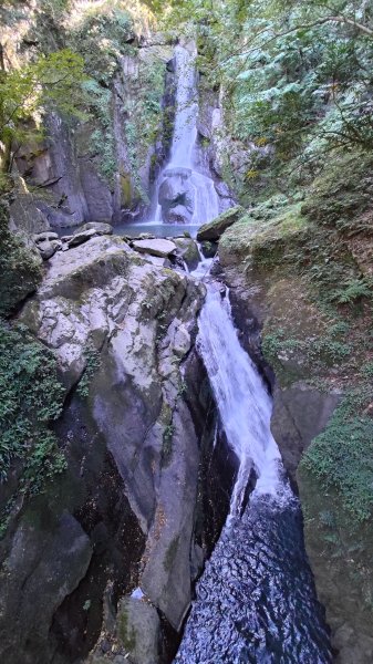 大霸群峰登山步道(大鹿林道線)2911394
