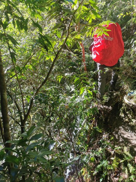 近臨雲海滿佈的干卓萬群峰-10/9~111139057