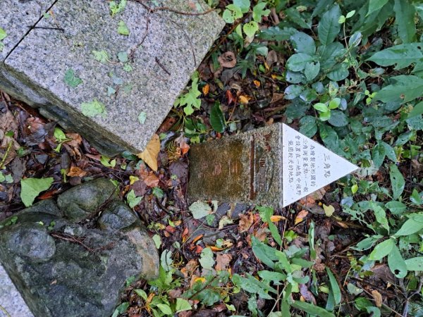 小百岳集起來劍潭親山步道3103143