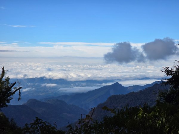 大雪山國家森林遊樂區賞楓／看神木／賞雪白山頭／賞大景2974316