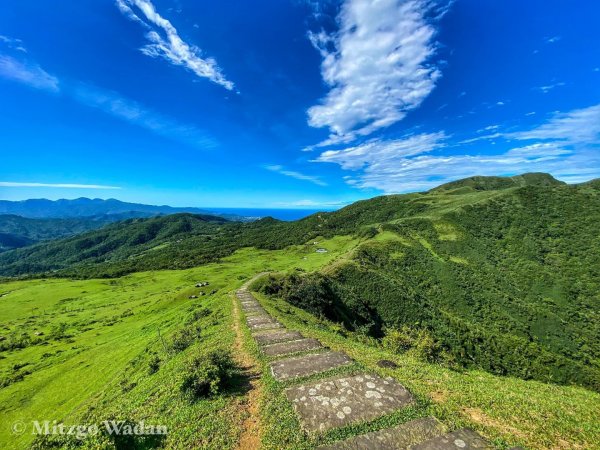 桃源谷步道(內寮線)972370