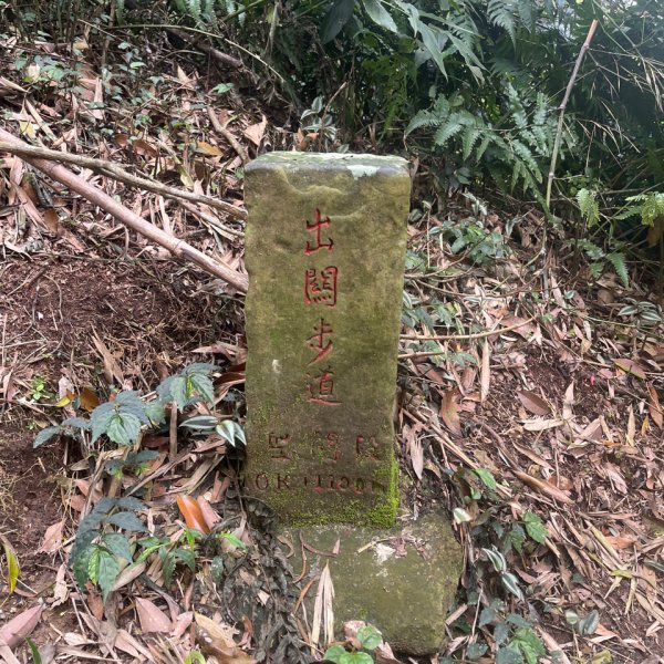 20250407_關刀山步道（苗栗小百岳）2855750