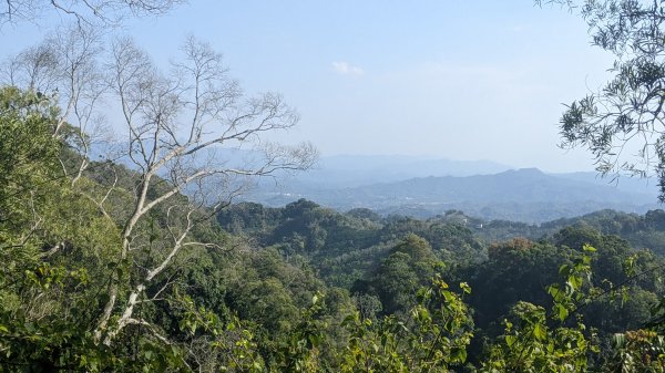 聚興山、新田山步道1641385