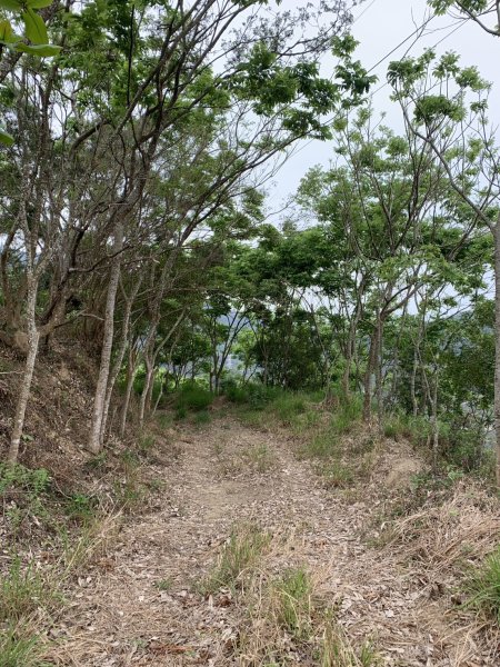 20250405屏東內南世山-西霧里乙山2757789