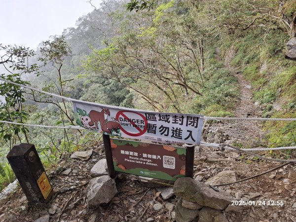 2025.01.24~26 北大武山 三天兩夜〈雲海、夕陽、檜木、鐵杉、藍天...〉2700328
