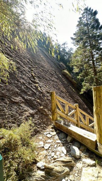 東埔-排雲-玉山西峰-玉山主峰2753178