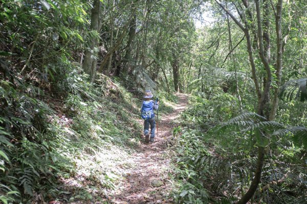 闊瀨古道-沿北勢溪谷而行的夏末之旅（淡蘭古道）2287653