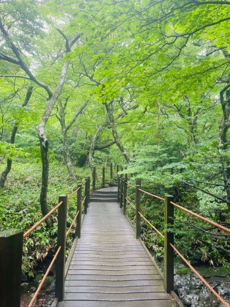 1140811 KR 漢拏山杜鵑花田避難所-紗羅岳觀景臺2860453