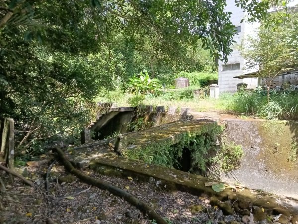 坪林區大舌湖漁光國小通學古道(保甲路古道)去回+大舌湖2844937