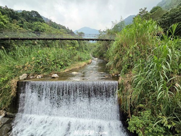 【台中和平】橫嶺山自然步道_木馬古道