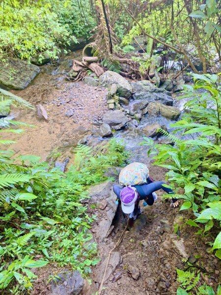 烏來阿玉溪山/西坑林道/探勘派出護管所彈藥庫遺址至獅坑橋2582035