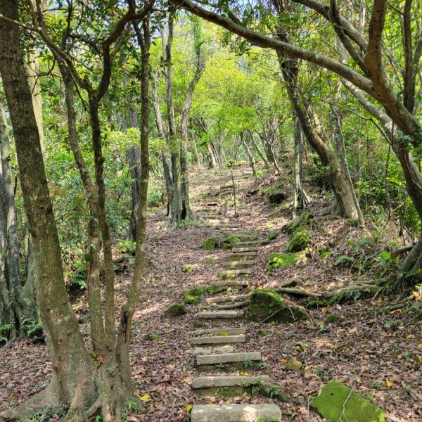 碇內尖景觀砲台步道2092663