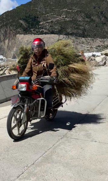 西藏♥️可愛動物🐎人物寫真/拉薩旅拍/美食2903035